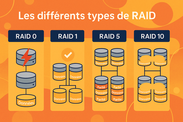 Illustration : Les différents types de RAID.